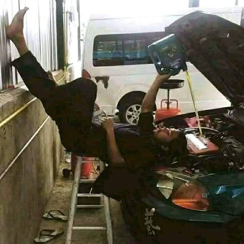 Ảnh vui 5-5: Khi buồn thì nên kiếm một cái cây - Ảnh 2.