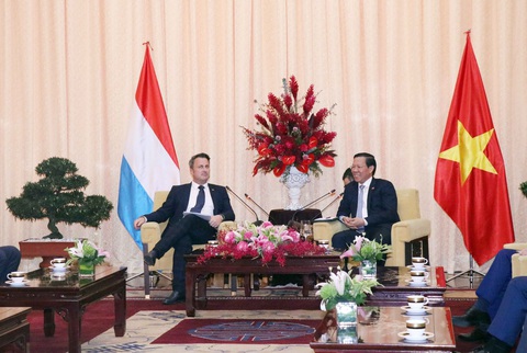 Luxembourg hỗ trợ TP.HCM trong lĩnh vực tài chính xanh - Ảnh 1. Luxembourg hỗ trợ TP.HCM trong lĩnh vực tài chính xanh - Ảnh 1.