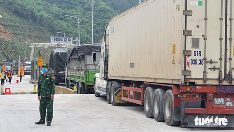 Cảnh báo giả mạo giấy chứng nhận xuất khẩu nông sản sang Trung Quốc - Ảnh 1. Cảnh báo giả mạo giấy chứng nhận xuất khẩu nông sản sang Trung Quốc - Ảnh 1.