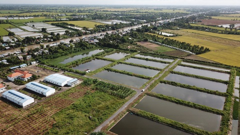 Vì sao các dự án trung tâm nông thủy sản ở miền Tây gặp khó? - Ảnh 2. Vì sao các dự án trung tâm nông thủy sản ở miền Tây gặp khó? - Ảnh 2.