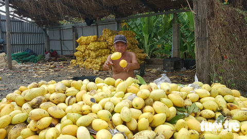 Tin tức sáng 7-5: Novaland, Phát Đạt bị mạo danh kêu gọi đầu tư - Ảnh 4. Tin tức sáng 7-5: Novaland, Phát Đạt bị mạo danh kêu gọi đầu tư - Ảnh 4.