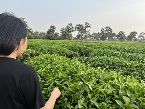 Tin tức sáng 8-5: Xử nhóm chạy 20 tỉ đồng để điều chuyển ông Đinh Văn Nơi - Ảnh 2. Tin tức sáng 8-5: Xử nhóm chạy 20 tỉ đồng để điều chuyển ông Đinh Văn Nơi - Ảnh 2.