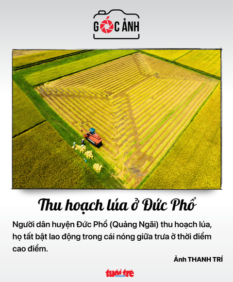 Tin tức sáng 8-5: Xử nhóm chạy 20 tỉ đồng để điều chuyển ông Đinh Văn Nơi - Ảnh 4. Tin tức sáng 8-5: Xử nhóm chạy 20 tỉ đồng để điều chuyển ông Đinh Văn Nơi - Ảnh 4.