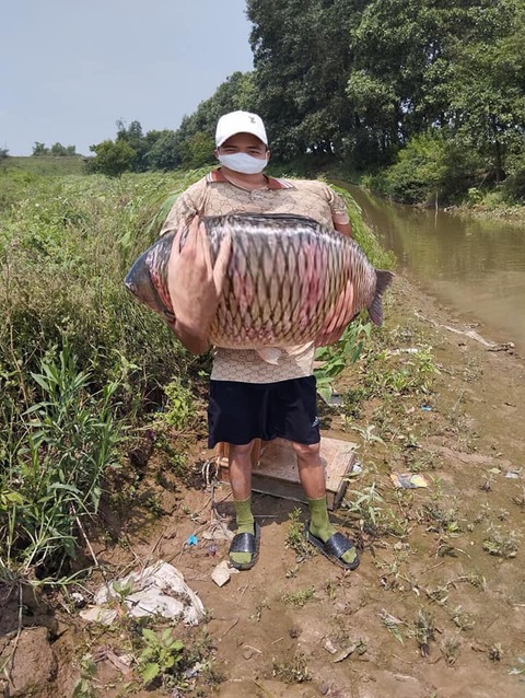 Nhờ dân mạng chỉnh ảnh, nhận được đống cá muốn lộn ruột - Ảnh 8. Nhờ dân mạng chỉnh ảnh, nhận được đống cá muốn lộn ruột - Ảnh 8.