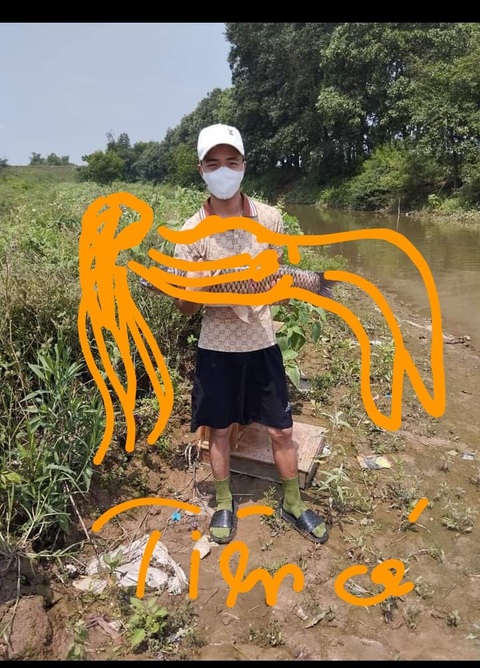 Nhờ dân mạng chỉnh ảnh, nhận được đống cá muốn lộn ruột - Ảnh 7. Nhờ dân mạng chỉnh ảnh, nhận được đống cá muốn lộn ruột - Ảnh 7.