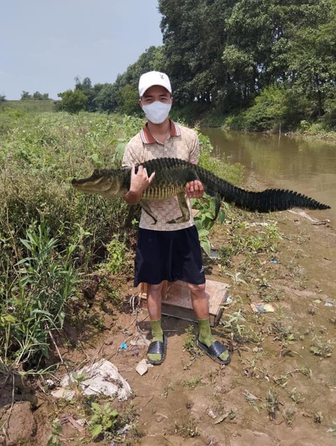 Nhờ dân mạng chỉnh ảnh, nhận được đống cá muốn lộn ruột - Ảnh 4. Nhờ dân mạng chỉnh ảnh, nhận được đống cá muốn lộn ruột - Ảnh 4.