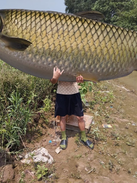 Nhờ dân mạng chỉnh ảnh, nhận được đống cá muốn lộn ruột - Ảnh 2. Nhờ dân mạng chỉnh ảnh, nhận được đống cá muốn lộn ruột - Ảnh 2.