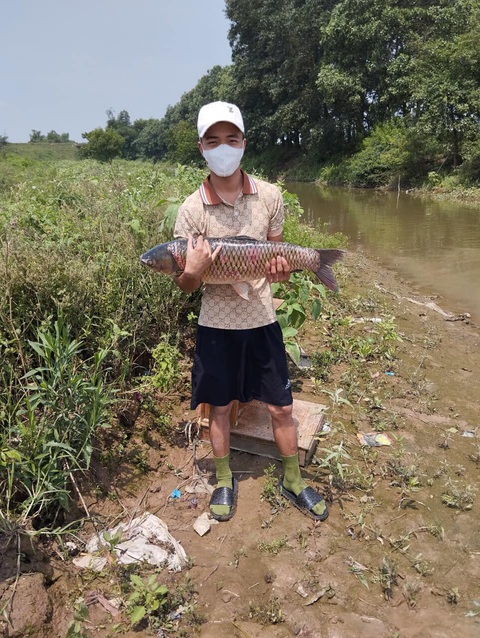 Nhờ dân mạng chỉnh ảnh, nhận được đống cá muốn lộn ruột - Ảnh 1. Nhờ dân mạng chỉnh ảnh, nhận được đống cá muốn lộn ruột - Ảnh 1.