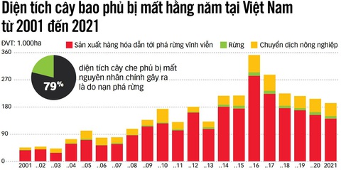 Nguồn: Viện Tài nguyên thế giới - Dữ liệu: PHƯƠNG NGUYỄN - Đồ họa: N.KH. Nguồn: Viện Tài nguyên thế giới - Dữ liệu: PHƯƠNG NGUYỄN - Đồ họa: N.KH.