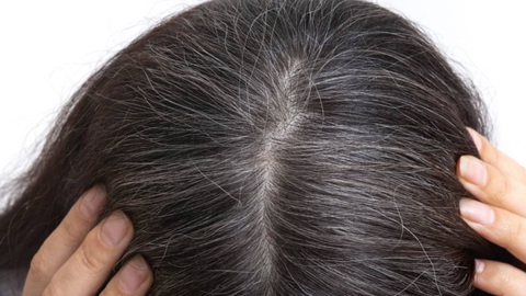 Tóc bạc phải nhuộm: Sẽ có lúc không cần làm thế nữa? - Ảnh 1. Phần lông hay tóc chúng ta nhìn thấy được bằng mắt thường ở bên ngoài da thực chất chỉ là phần tế bào đã "chết" - Ảnh minh họa: Consumerlab