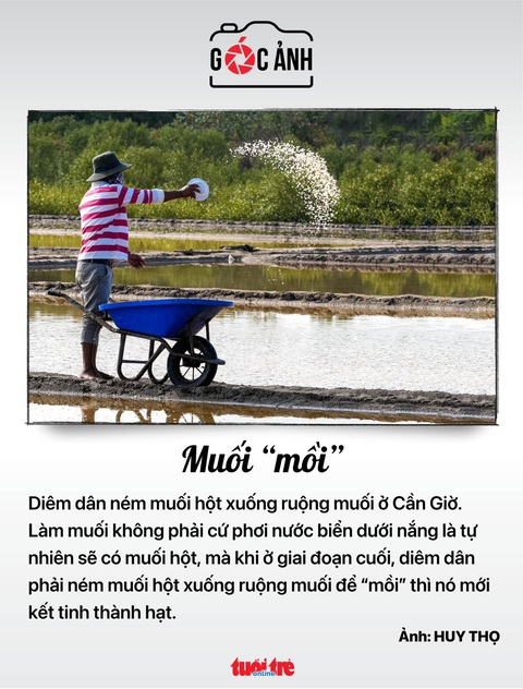 Tin tức sáng 9-5: Đề xuất số định danh cá nhân là mã số thuế cá nhân - Ảnh 7. Tin tức sáng 9-5: Đề xuất số định danh cá nhân là mã số thuế cá nhân - Ảnh 7.
