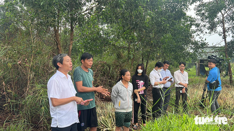 Bàn giao đất, người dân mong đường vành đai 3 sớm ngày hoạt động - Ảnh 4. Bàn giao đất, người dân mong đường vành đai 3 sớm ngày hoạt động - Ảnh 4.