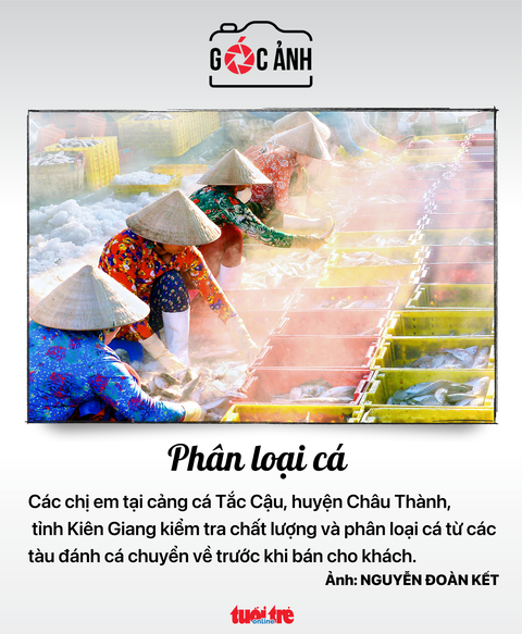 Tin tức sáng 10-5: 1 triệu lượt khách Hàn Quốc đã đến Việt Nam; 2.122 ca mắc COVID-19 mới - Ảnh 6. Tin tức sáng 10-5: 1 triệu lượt khách Hàn Quốc đã đến Việt Nam; 2.122 ca mắc COVID-19 mới - Ảnh 6.