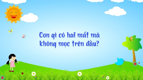 Những câu đố mẹo, chỉ người thông minh mới giải được (P5) - Ảnh 1. Những câu đố mẹo, chỉ người thông minh mới giải được (P5) - Ảnh 1.