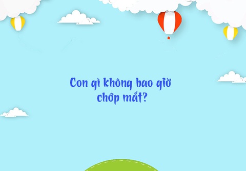 Những câu đố mẹo, chỉ người thông minh mới giải được (P6) - Ảnh 1. Những câu đố mẹo, chỉ người thông minh mới giải được (P6) - Ảnh 1.