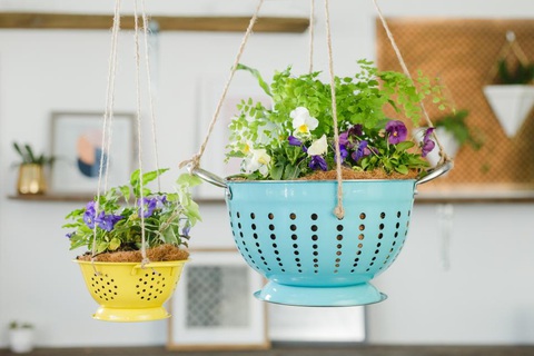 Tăng mảng xanh cho nhà với những chậu treo tái chế - Ảnh 5. Tăng mảng xanh cho nhà với những chậu treo tái chế - Ảnh 5.
