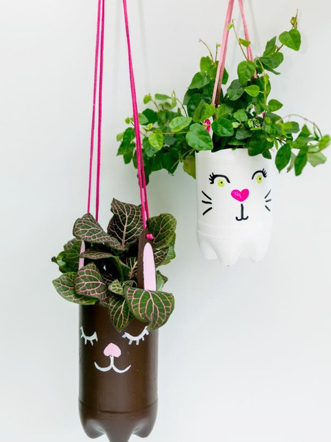 Tăng mảng xanh cho nhà với những chậu treo tái chế - Ảnh 8. Tăng mảng xanh cho nhà với những chậu treo tái chế - Ảnh 8.
