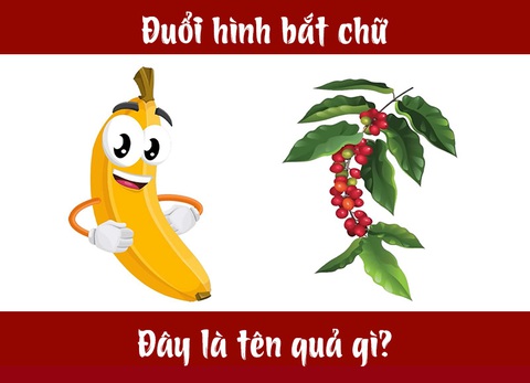 Đuổi hình bắt chữ: IQ cao có đoán được đây là tên quả gì? - Ảnh 4. Đuổi hình bắt chữ: IQ cao có đoán được đây là tên quả gì? - Ảnh 4.