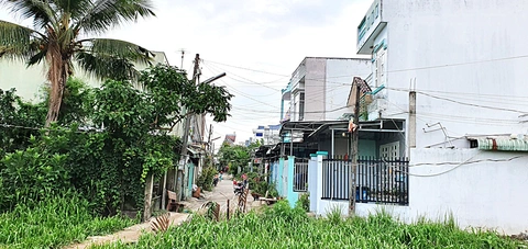 Cần Thơ khó xử với khu dân cư tự phát - Ảnh 1. Một khu dân cư tự phát tại phường An Bình, quận Ninh Kiều, TP Cần Thơ - Ảnh: L.D.