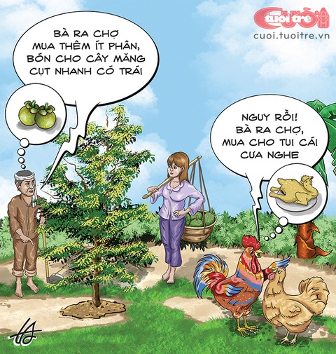 Loài gà trong vũ trụ măng cụt - Ảnh 1. Loài gà trong vũ trụ măng cụt - Ảnh 1.