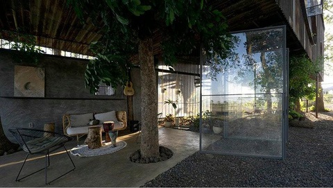 Ngôi nhà trên cây xà cừ ở Việt Nam được tạp chí Ý giới thiệu - Ảnh 4. Ngôi nhà trên cây xà cừ ở Việt Nam được tạp chí Ý giới thiệu - Ảnh 4.