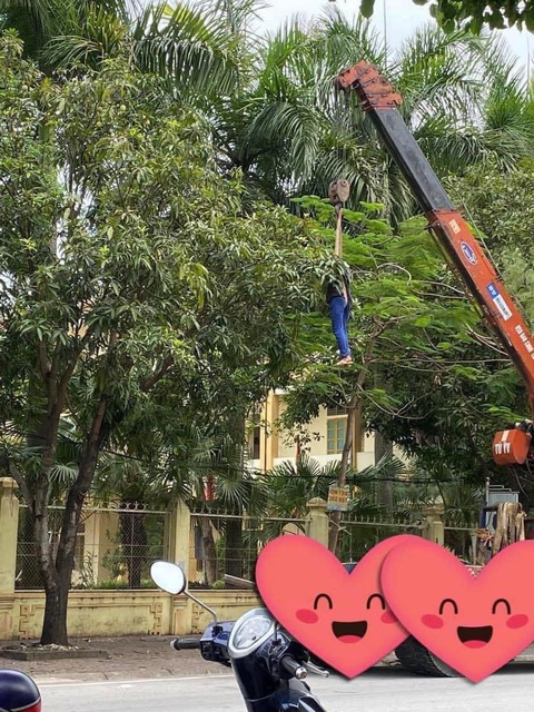 Ảnh vui 12-6: Nhìn hình là biết sắp có ít nhất 3 cặp chia tay - Ảnh 2. Ảnh vui 12-6: Nhìn hình là biết sắp có ít nhất 3 cặp chia tay - Ảnh 2.
