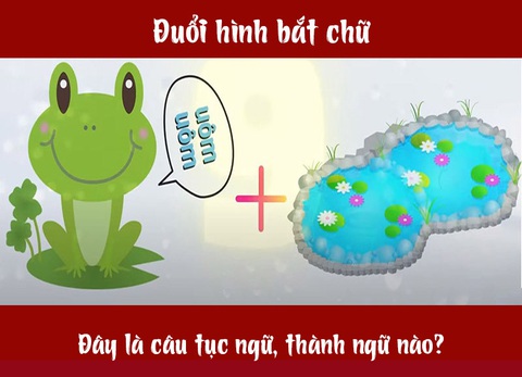 Câu tục ngữ, thành ngữ khó nhằn này là gì? (P34) - Ảnh 1. Câu tục ngữ, thành ngữ khó nhằn này là gì? (P34) - Ảnh 1.