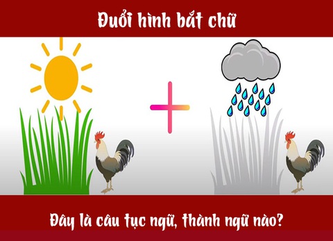 Câu tục ngữ, thành ngữ khó nhằn này là gì? (P34) - Ảnh 4. Câu tục ngữ, thành ngữ khó nhằn này là gì? (P34) - Ảnh 4.