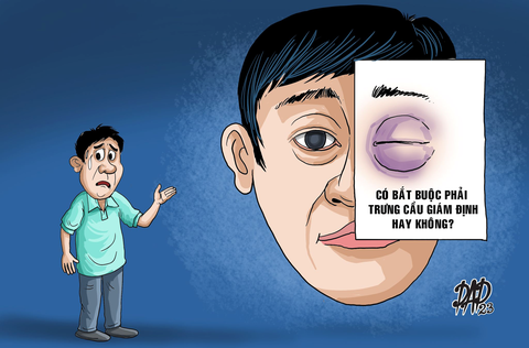 Khi nào phải giám định thương tích? - Ảnh 1. Khi nào phải giám định thương tích? - Ảnh 1.