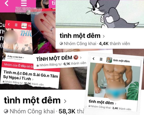 Cuộc vui "tình một đêm" nhiều hệ lụy - Ảnh 1. Nhiều đối tượng liên tục “chèo kéo” qua ứng dụng Telegram - Ảnh K.H.