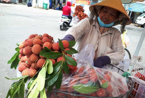 Tin tức sáng 13-6: TP.HCM đang dẫn đầu xuất khẩu; 23% doanh nghiệp BĐS chỉ sống đến cuối năm - Ảnh 1. Tin tức sáng 13-6: TP.HCM đang dẫn đầu xuất khẩu; 23% doanh nghiệp BĐS chỉ sống đến cuối năm - Ảnh 1.