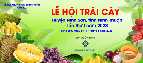 Về Ninh Thuận dự lễ hội trái cây 'Ninh Sơn - miền đất hứa' - Ảnh 4. Về Ninh Thuận dự lễ hội trái cây 'Ninh Sơn - miền đất hứa' - Ảnh 4.