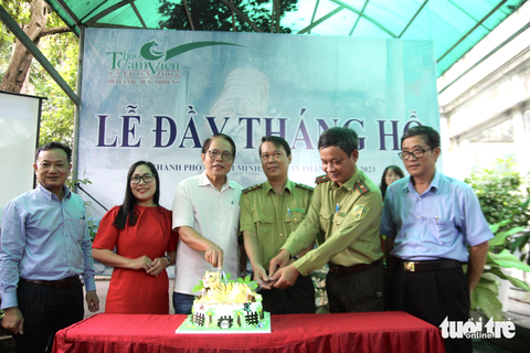 Cắt bánh kem mừng đầy tháng cho 2 chú hổ con ở Thảo cầm viên Sài Gòn - Ảnh 1. Cắt bánh kem mừng đầy tháng cho 2 chú hổ con ở Thảo cầm viên Sài Gòn - Ảnh 1.