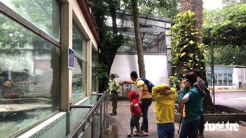Cắt bánh kem mừng đầy tháng cho 2 chú hổ con ở Thảo cầm viên Sài Gòn - Ảnh 6. Cắt bánh kem mừng đầy tháng cho 2 chú hổ con ở Thảo cầm viên Sài Gòn - Ảnh 6.