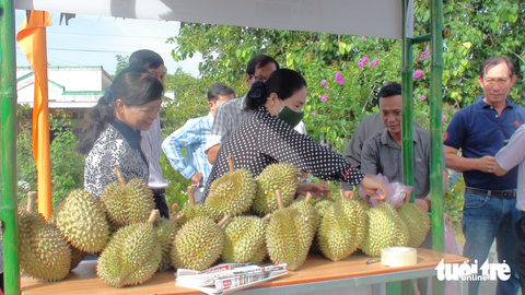 Nông dân thiếu hàng bán trong ngày hội trái sầu riêng - Ảnh 3. Nông dân thiếu hàng bán trong ngày hội trái sầu riêng - Ảnh 3.