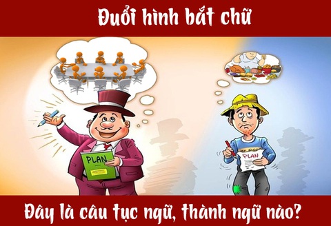Câu tục ngữ, thành ngữ khó nhằn này là gì? (P35) - Ảnh 4. Câu tục ngữ, thành ngữ khó nhằn này là gì? (P35) - Ảnh 4.