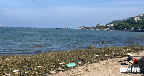 Lục bình, nệm cũ phủ kín Bãi Trước, Vũng Tàu - Ảnh 3. Lục bình, nệm cũ phủ kín Bãi Trước, Vũng Tàu - Ảnh 3.