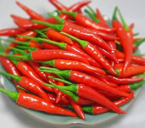 Hàn Quốc không cấm nhập khẩu ớt từ Việt Nam, chỉ thu hồi sản phẩm vi phạm - Ảnh 1. Hàn Quốc không cấm nhập khẩu ớt từ Việt Nam, chỉ thu hồi sản phẩm vi phạm - Ảnh 1.