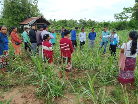 Nụ cười tình nguyện tại nước bạn Lào - Ảnh 3. Nụ cười tình nguyện tại nước bạn Lào - Ảnh 3.
