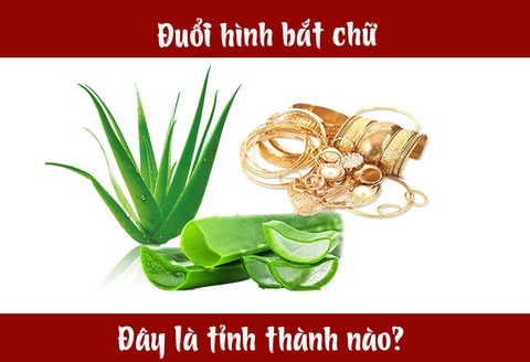 IQ cao có đoán được đây là tỉnh thành nào nước ta? (P24) - Ảnh 4. IQ cao có đoán được đây là tỉnh thành nào nước ta? (P24) - Ảnh 4.
