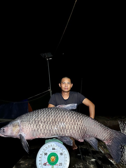 Sau ba năm săn thủy quái, câu được cá trắm đen nặng 40kg - Ảnh 3. Sau ba năm săn thủy quái, câu được cá trắm đen nặng 40kg - Ảnh 3.