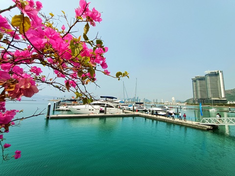 Nha Trang sẽ thành thành phố điện ảnh như Cannes của Pháp, Hollywood của Mỹ? - Ảnh 3. Nha Trang sẽ thành thành phố điện ảnh như Cannes của Pháp, Hollywood của Mỹ? - Ảnh 3.