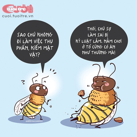 Chú ong thợ sợ làm sai - Ảnh 1. Chú ong thợ sợ làm sai - Ảnh 1.