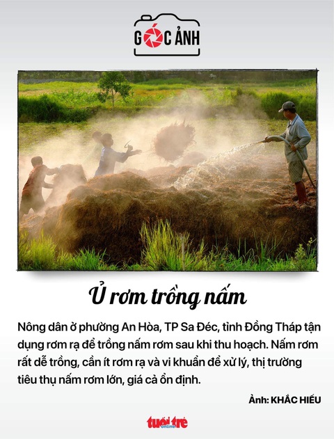 Tin tức sáng 19-6: Tập đoàn, tổng công ty nhà nước nào doanh thu tăng? Giảm 2% thuế VAT từ 1-7? - Ảnh 4. Tin tức sáng 19-6: Tập đoàn, tổng công ty nhà nước nào doanh thu tăng? Giảm 2% thuế VAT từ 1-7? - Ảnh 4.