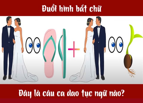 Câu ca dao, tục ngữ hóc búa này là gì? (P4) - Ảnh 4. Câu ca dao, tục ngữ hóc búa này là gì? (P4) - Ảnh 4.