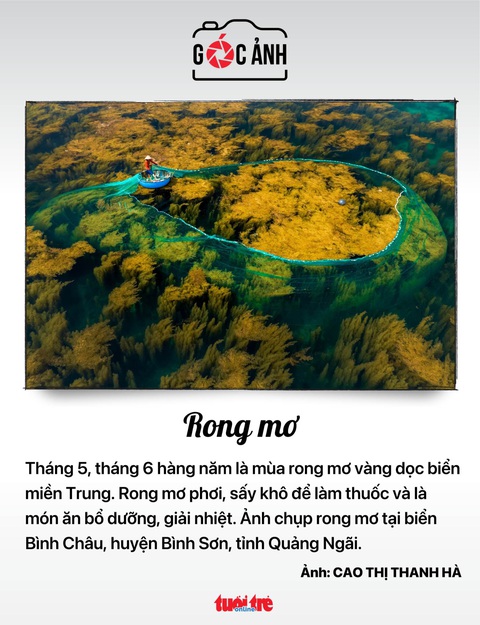 Tin tức sáng 3-6: Xuất khẩu sầu riêng tăng rất mạnh, hơn 573% - Ảnh 7. Tin tức sáng 3-6: Xuất khẩu sầu riêng tăng rất mạnh, hơn 573% - Ảnh 7.