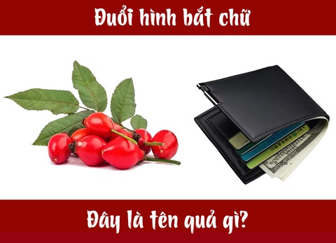 Đuổi hình bắt chữ: IQ cao có đoán được đây là tên quả gì? (P3) - Ảnh 1. Đuổi hình bắt chữ: IQ cao có đoán được đây là tên quả gì? (P3) - Ảnh 1.