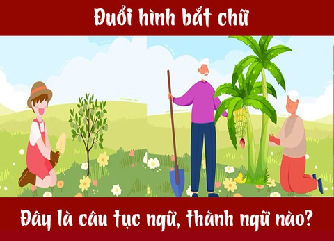 Câu tục ngữ, thành ngữ khó nhằn này là gì? (P26) - Ảnh 1. Câu tục ngữ, thành ngữ khó nhằn này là gì? (P26) - Ảnh 1.