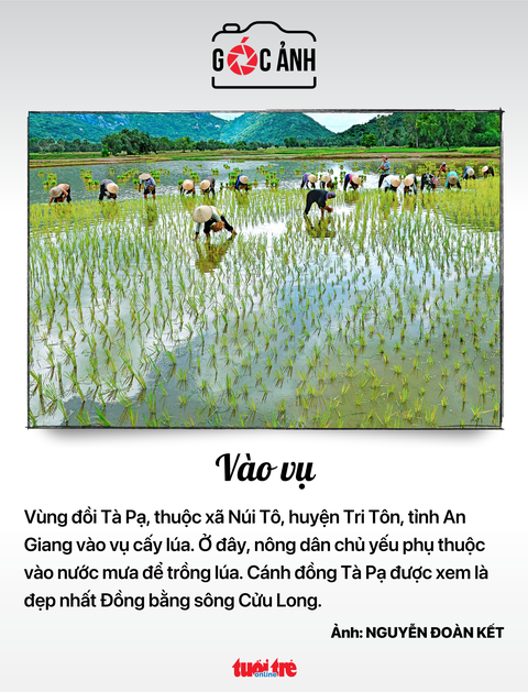 Tin tức sáng 21-6: Hơn 1 triệu người gen C - thế hệ không tiền mặt - Ảnh 11. Tin tức sáng 21-6: Hơn 1 triệu người gen C - thế hệ không tiền mặt - Ảnh 11.