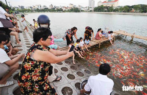 Người dân thủ đô thích thú check-in, cho cá koi hồ Tây ăn - Ảnh 7. Người dân thủ đô thích thú check-in, cho cá koi hồ Tây ăn - Ảnh 7.